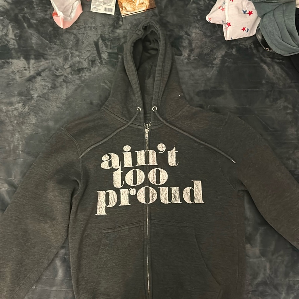 Ain't Too Proud Hoodie